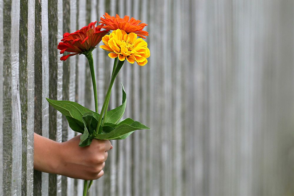 Gutscheine für Übernachtungen im Landhaus Teichgraf